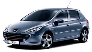 Autoradio GPS voor Peugeot 307 met Navigatie Radio Stereo